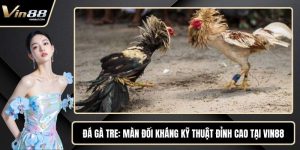 Đá Gà Tre - Màn Đối Kháng Kỹ Thuật Đỉnh Cao Tại VIN88