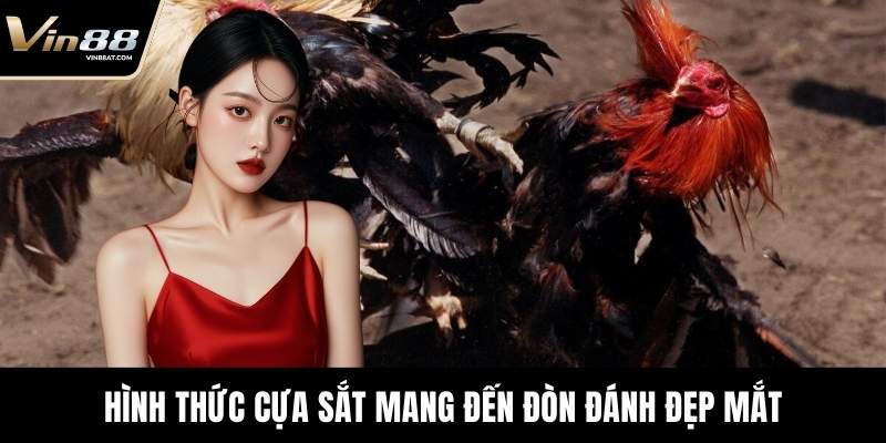 Hình thức cựa sắt mang đến đòn đánh đẹp mắt