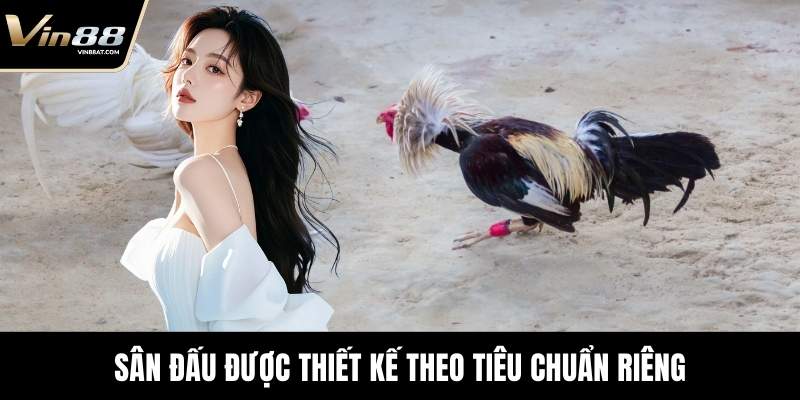 Đá Gà Tre - Màn Đối Kháng Kỹ Thuật Đỉnh Cao Tại VIN88 3 Sân đấu được thiết kế theo tiêu chuẩn riêng